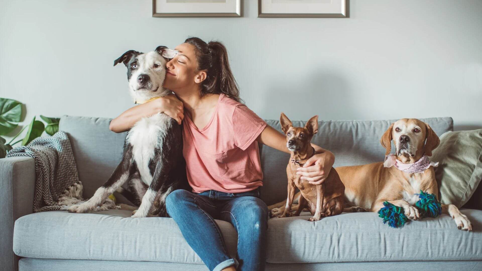 Happy pets and their owners