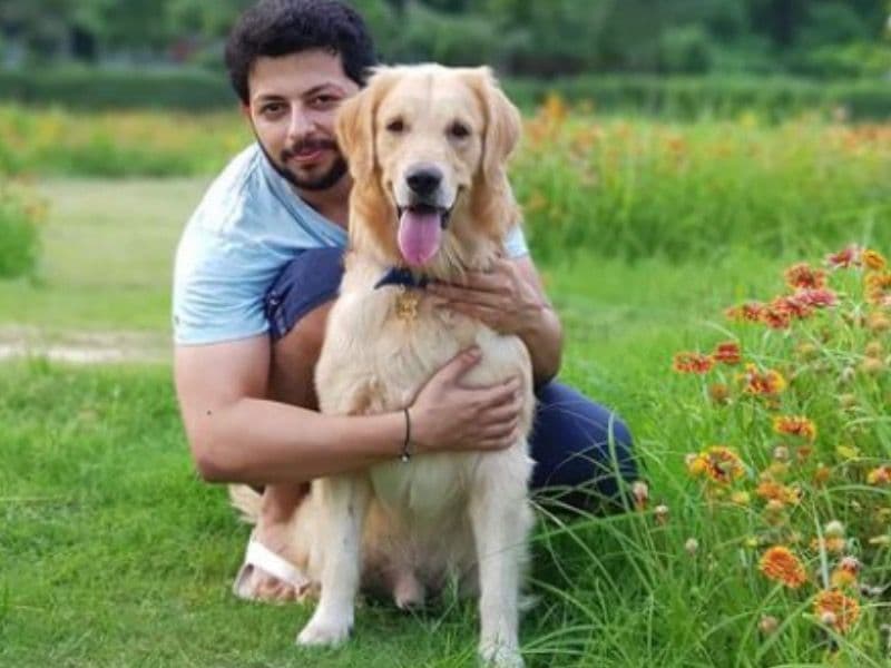 Golden Retriever 10 years 4 months old male medium named Pluto for breeding in Lucknow Division, Uttar Pradesh | Petmeetly