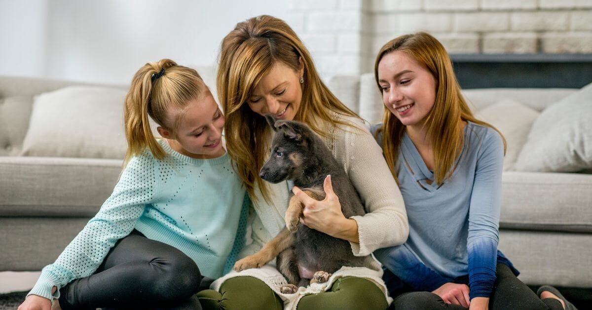 Top 100 Male Dog Names on Petmeetly